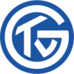 Logo von TV Großwallstadt